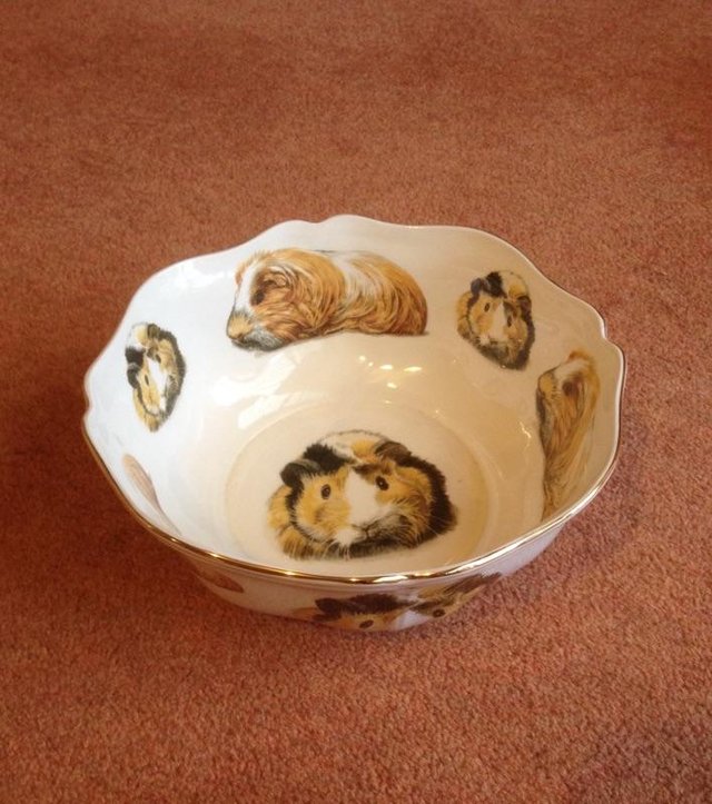 Image 2 of wedg wood guinea pig fruit bowl
