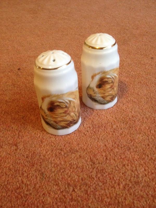 Preview of the first image of guinea pig salt and pepper pots.