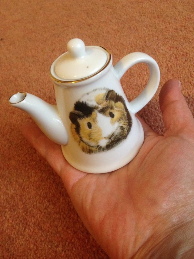 Preview of the first image of guinea pig tea pot.