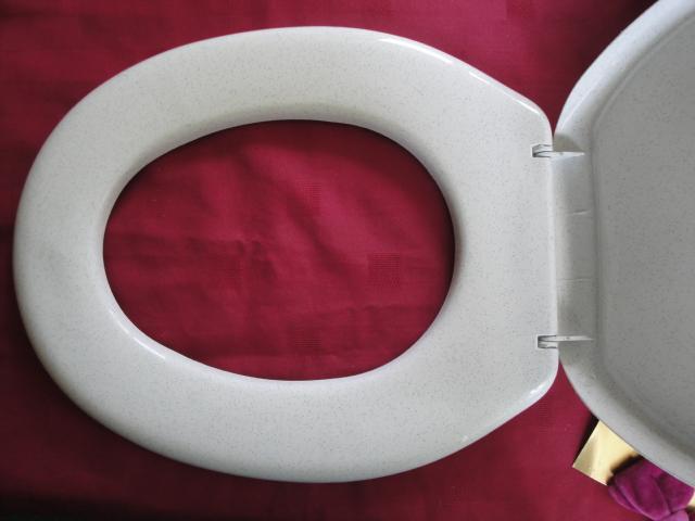 Image 3 of New Greyish White Plastic Toilet Seat