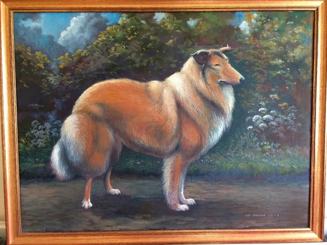 Preview of the first image of ORIGINAL OIL PAINTING - COLLIE BY RAY STIMPSON F.R.S.A..