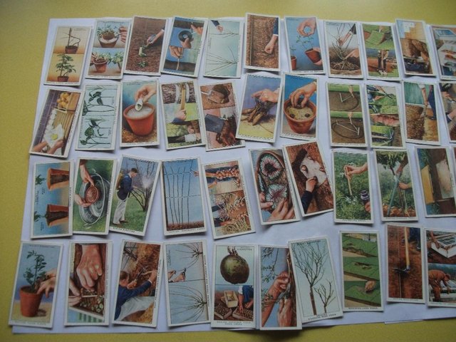 Preview of the first image of CIGARETTE CARDS (VARIOUS).