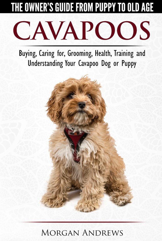 Preview of the first image of Cavapoos - The No. 1 Best-Selling Owners Guide....
