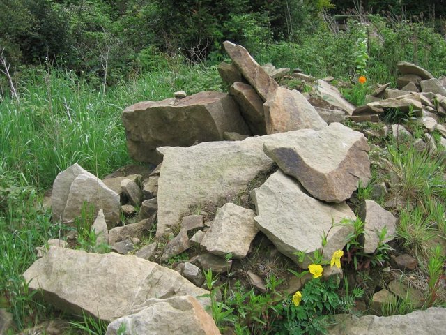 Image 2 of Rockery stone,