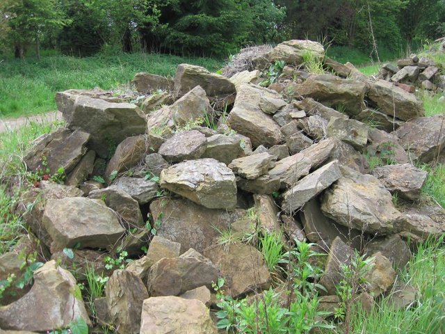 Image 3 of Rockery stone,
