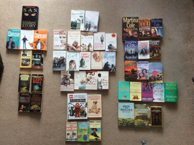 Preview of the first image of JOB LOT OF BOOKS. LOTS & LOTS. STEEL, COLE, KOONTZ. ETC.