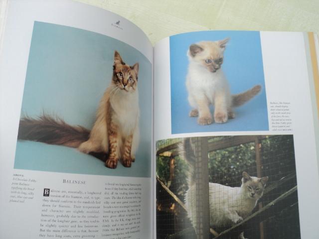 Image 3 of CATS....The Complete CAT Book!..............................