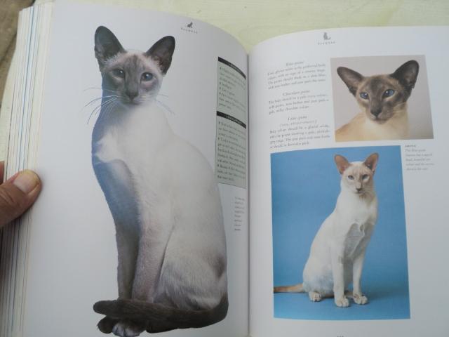 Image 5 of CATS....The Complete CAT Book!..............................