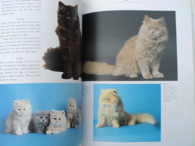 Image 9 of CATS....The Complete CAT Book!..............................