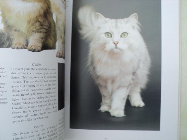 Image 11 of CATS....The Complete CAT Book!..............................