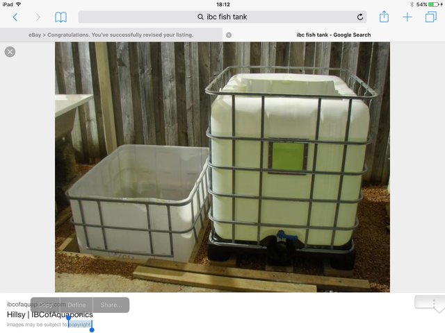 Image 3 of 1000 litre IBC tank for Koi Carp or Goldfish