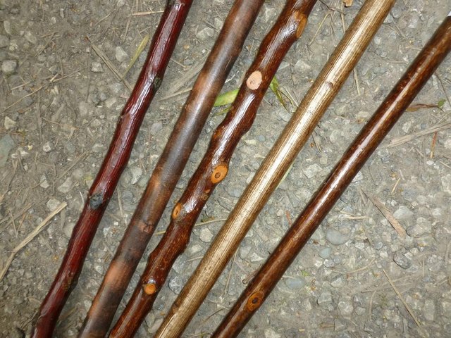 Image 3 of Wood Show canes with antler horn ends