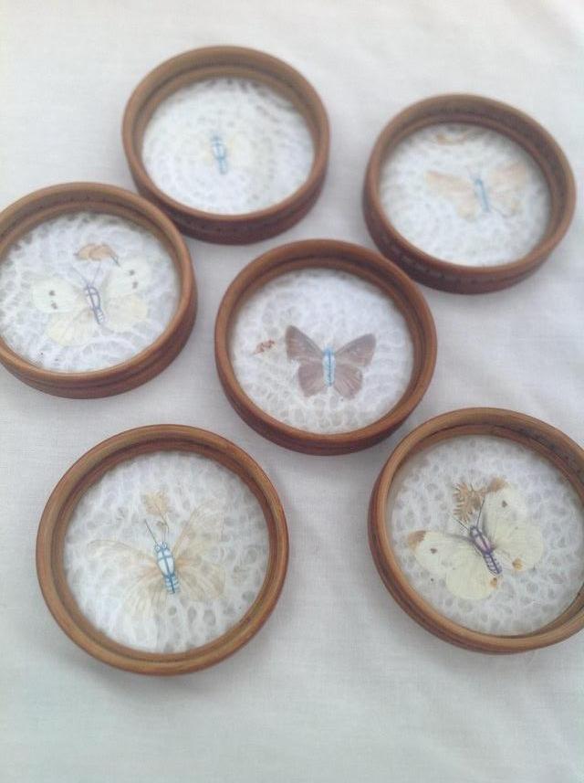 Image 2 of BUTTERFLY DRINKS COASTERS/ SMALL PICTURES