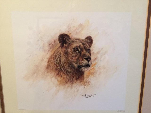 Image 2 of Pair of Limited Edition 'Big Cat' Prints by Tony Forrest