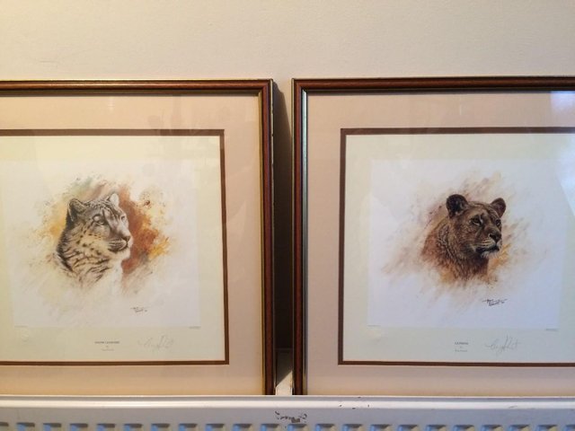 Preview of the first image of Pair of Limited Edition 'Big Cat' Prints by Tony Forrest.