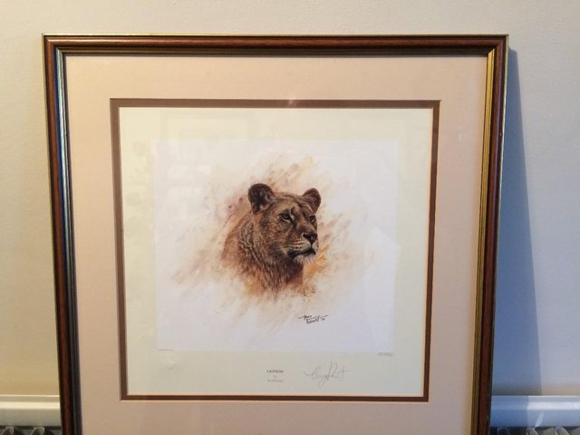 Image 3 of Pair of Limited Edition 'Big Cat' Prints by Tony Forrest