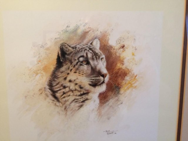 Image 5 of Pair of Limited Edition 'Big Cat' Prints by Tony Forrest
