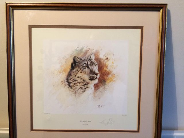 Image 8 of Pair of Limited Edition 'Big Cat' Prints by Tony Forrest