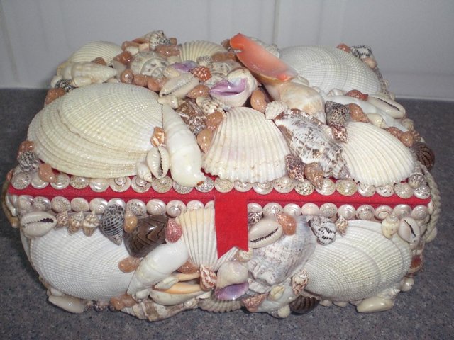 Preview of the first image of Beautiful natural sea shell new Jewellery box.