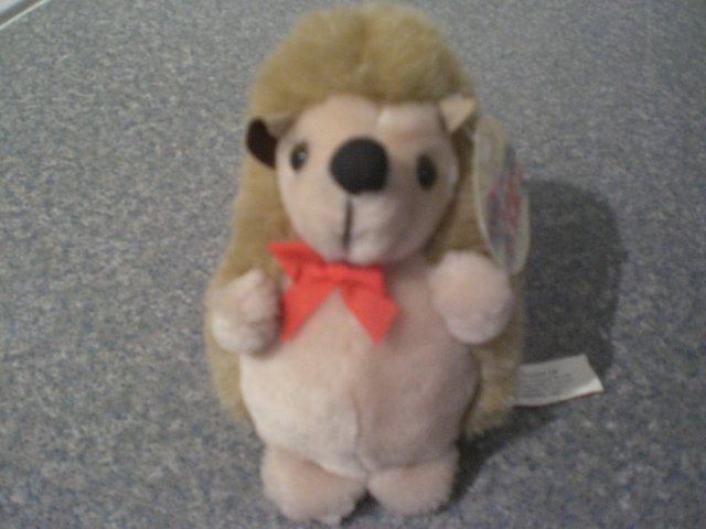 Image 3 of Small cuddly hedgehog- Brand new Cuggly Wugglies soft toy