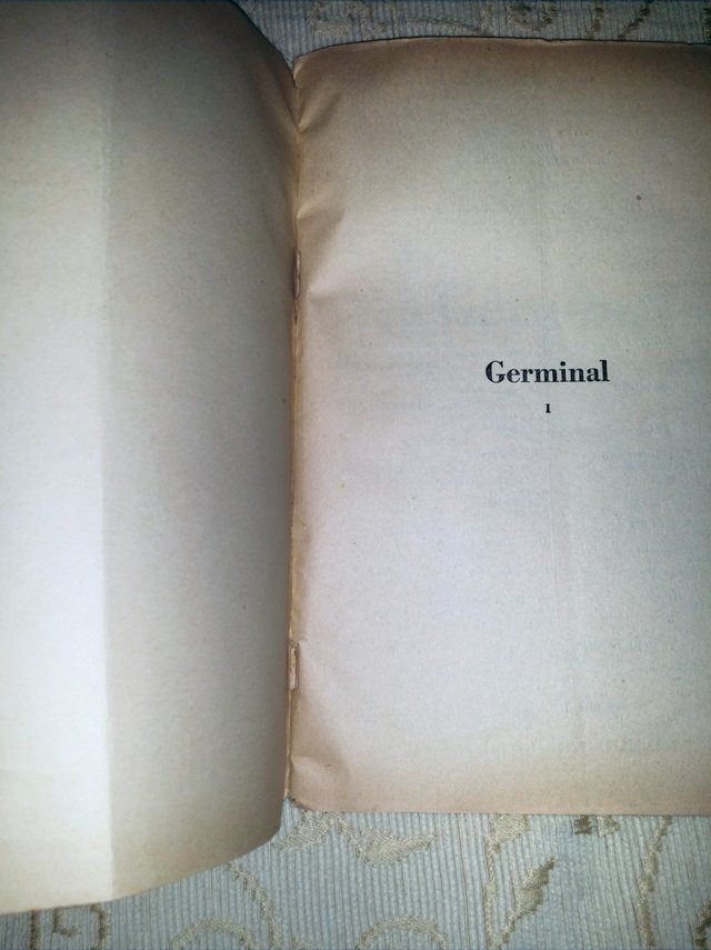 Image 10 of Complete 3 Tome Set ÉMILE ZOLA GERMINAL, French 1930's Eds