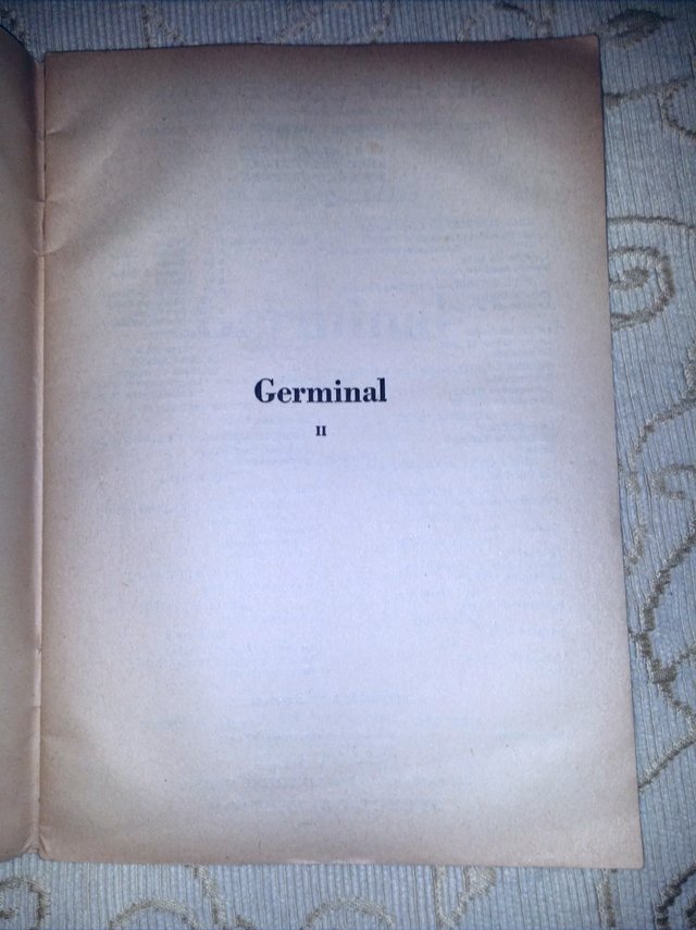 Image 23 of Complete 3 Tome Set ÉMILE ZOLA GERMINAL, French 1930's Eds
