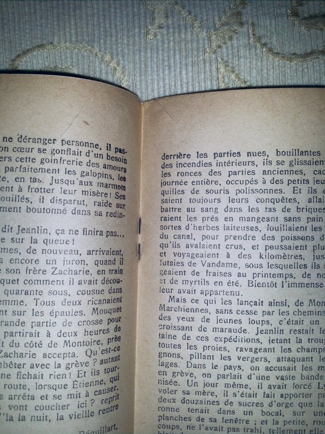 Image 26 of Complete 3 Tome Set ÉMILE ZOLA GERMINAL, French 1930's Eds