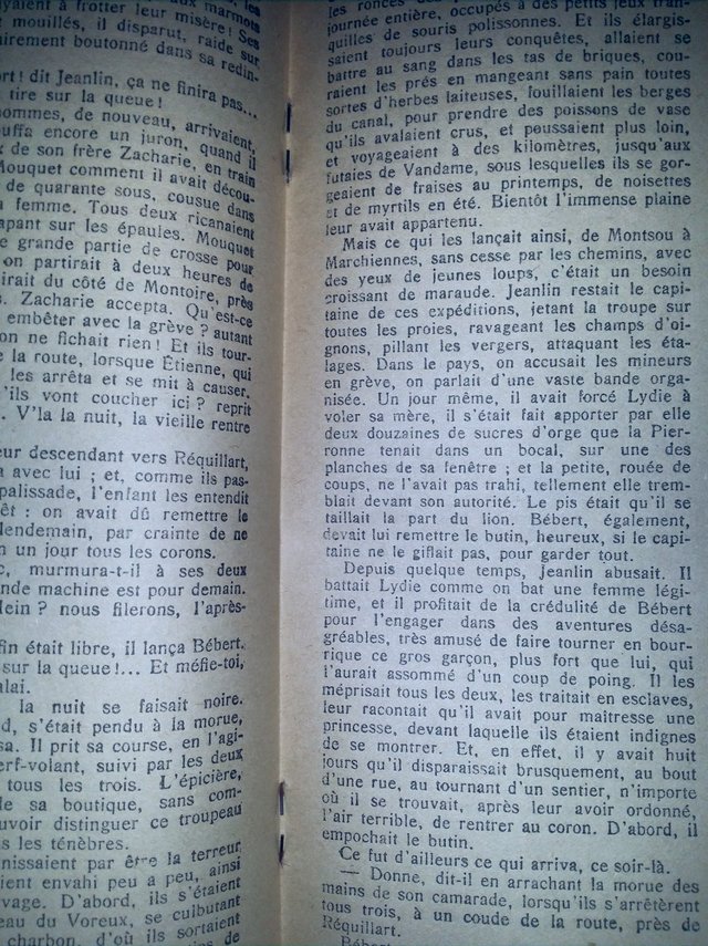 Image 27 of Complete 3 Tome Set ÉMILE ZOLA GERMINAL, French 1930's Eds