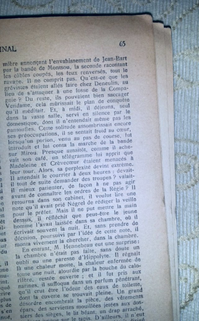 Image 28 of Complete 3 Tome Set ÉMILE ZOLA GERMINAL, French 1930's Eds