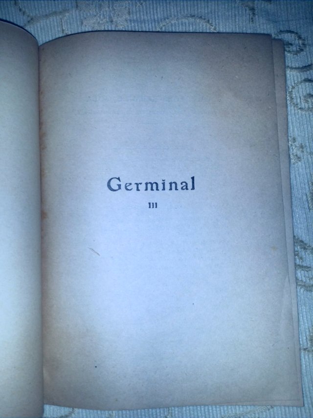 Image 35 of Complete 3 Tome Set ÉMILE ZOLA GERMINAL, French 1930's Eds