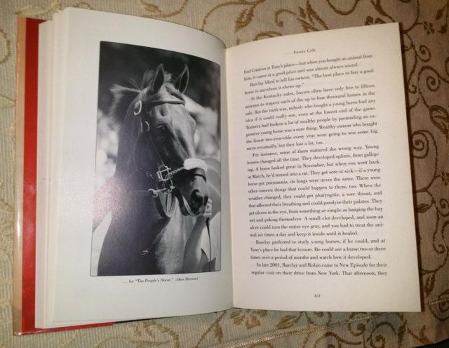 Image 5 of FUNNY CIDE, Sally Jenkins, As New HB, 279 pages
