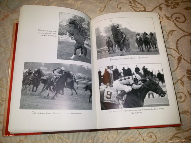 Image 6 of FUNNY CIDE, Sally Jenkins, As New HB, 279 pages