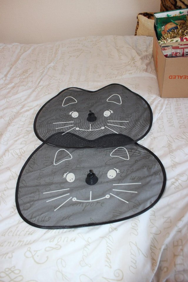 Image 2 of Sun visers for the car (cat)
