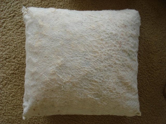 Image 2 of 2 x LARGE FOAM-FILLED SCATTER CUSHION INSERTS (NO COVERS)