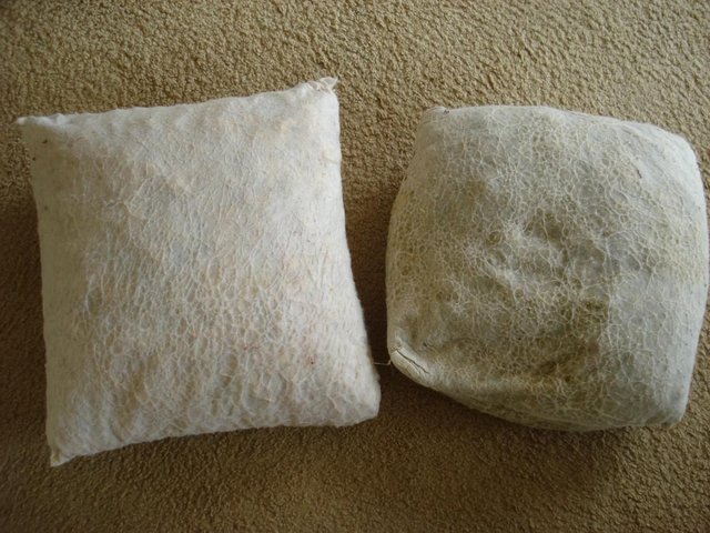 Preview of the first image of 2 x LARGE FOAM-FILLED SCATTER CUSHION INSERTS (NO COVERS).