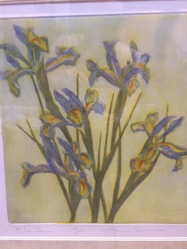 Preview of the first image of RARE LTD EDITION ETCHING 41/50 - BLUE IRISES-AUDREY SCOVELL.