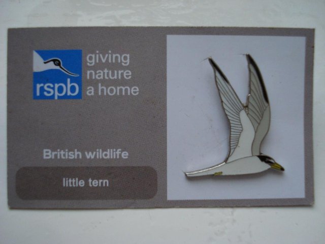 Preview of the first image of RSPB BRITISH WILDLIFE LITTLE TERN LAPEL BADGE / TIE PIN.