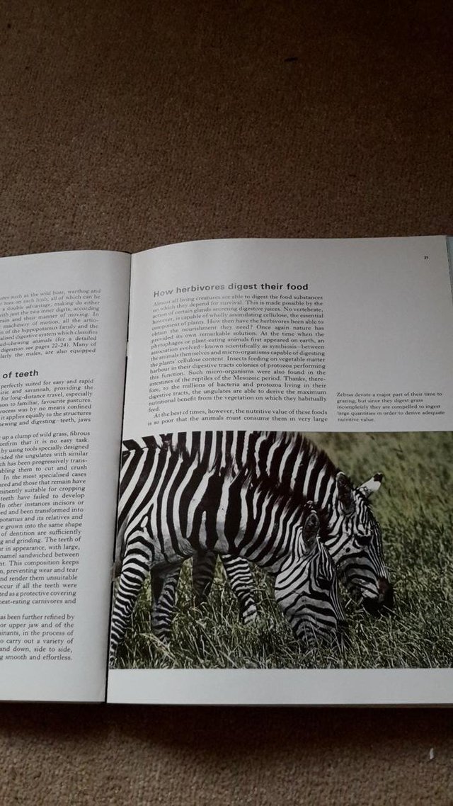 Preview of the first image of World of wildlife magazine collection.