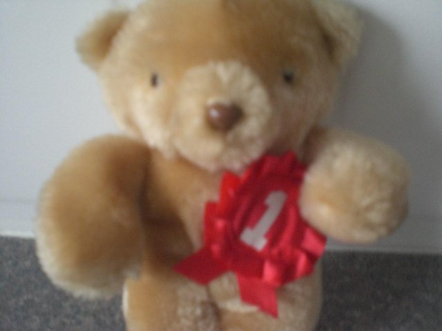 Image 2 of Small Teddy Bear with Number 1 rosette