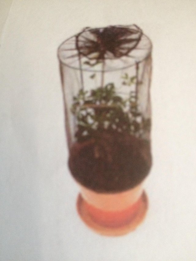 Preview of the first image of HABINET CHAMELEON INSECT NET ZIPPED CAGE PLANT PROTECTER.