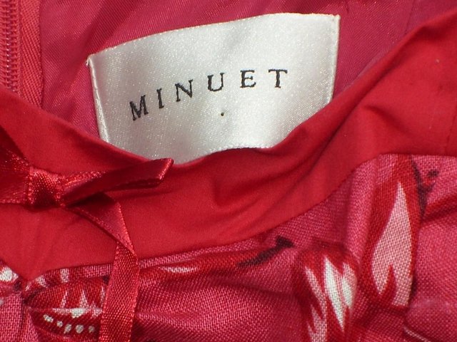 Image 3 of Minuet Red Printed Linen Dress – Size 12