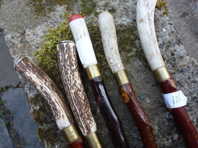 Image 4 of Wood Show canes with antler horn ends