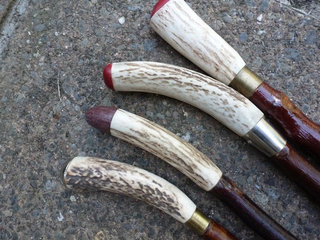 Image 5 of Wood Show canes with antler horn ends
