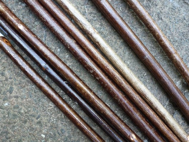 Image 9 of Wood Show canes with antler horn ends