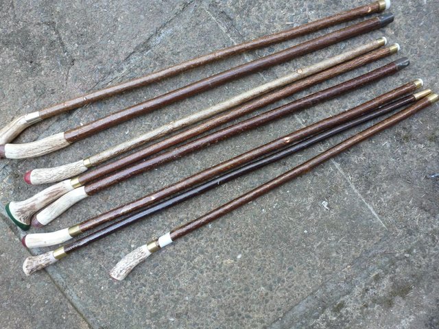 Image 10 of Wood Show canes with antler horn ends