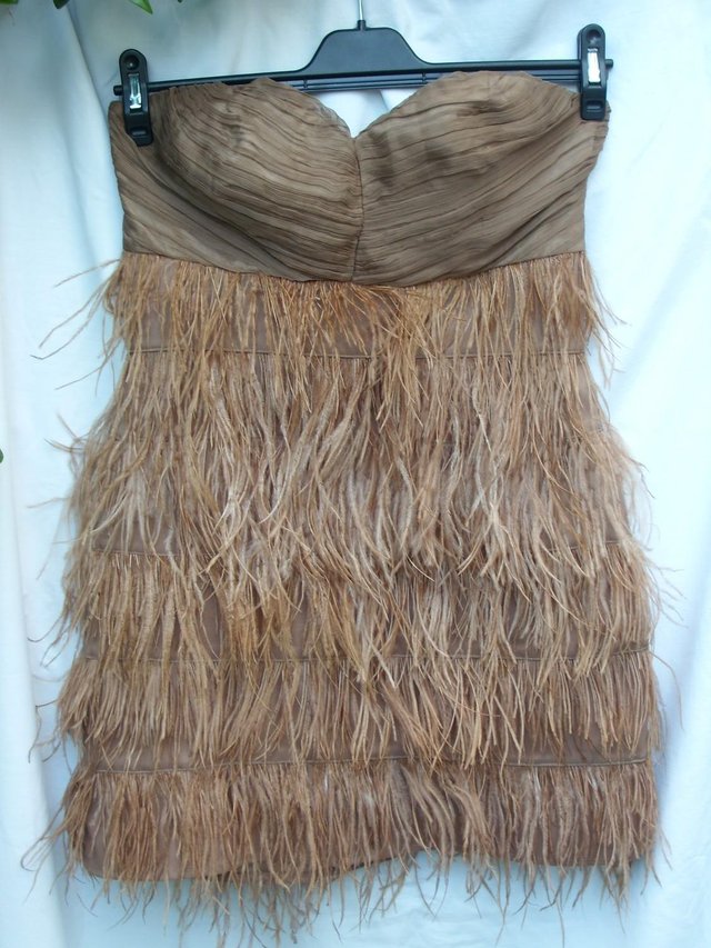 Preview of the first image of ZARA Strapless Feather Mini Dress – Size M (6) - NEW.