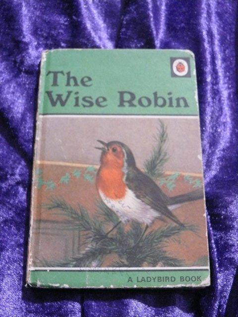 Preview of the first image of The Wise Robin by Ladybird Books.