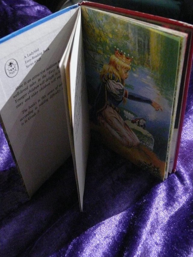 Image 2 of The Princess & the Frog Ladybird Book
