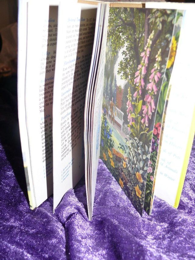 Image 2 of VINTAGE - Ladybird book of Garden Flowers