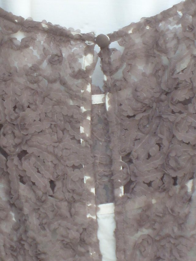 Image 2 of PHASE EIGHT Light Brown Lace Dress - Size 18